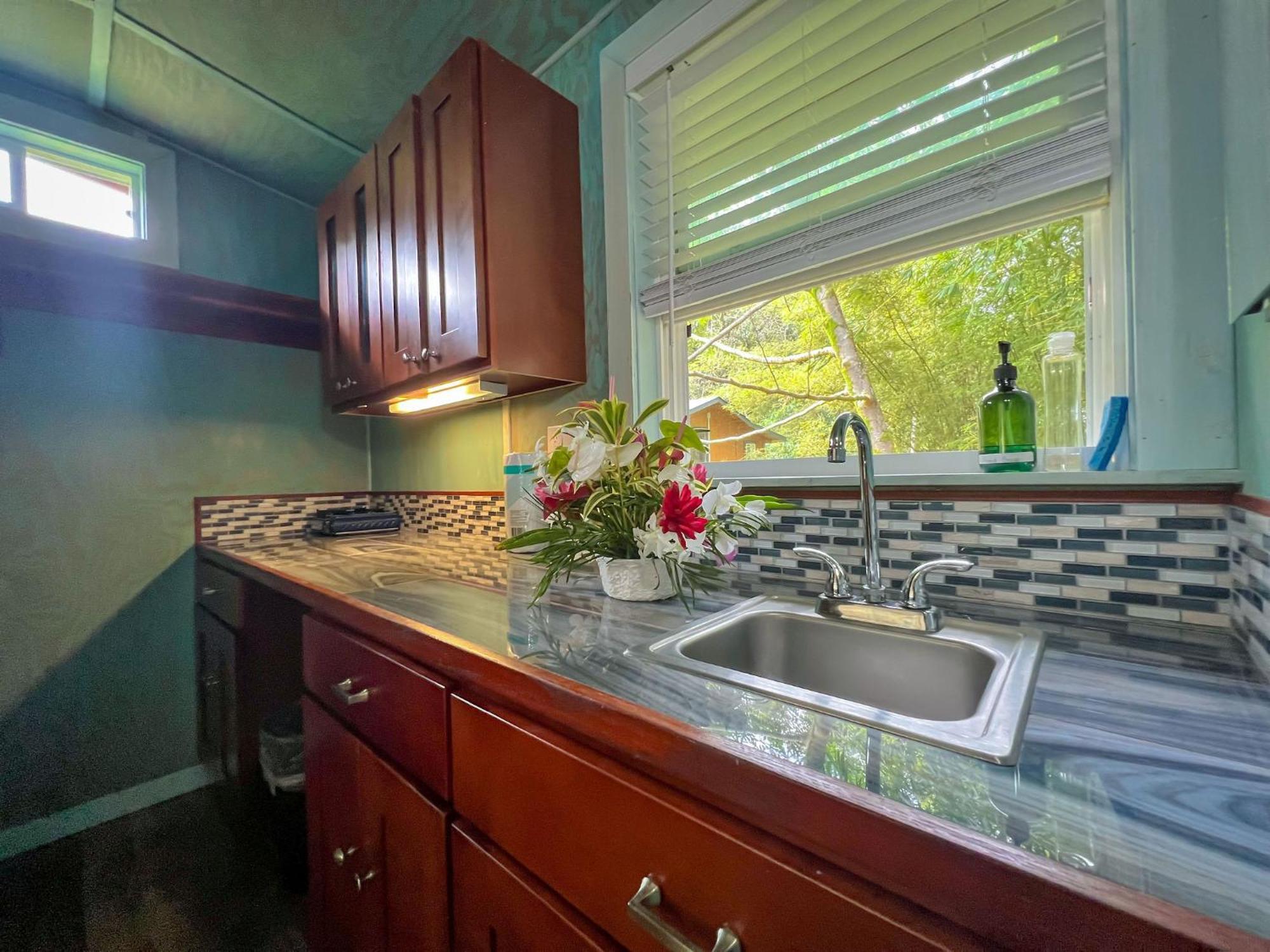 Hawaiian Sanctuary Eco Retreat Center Βίλα Pahoa Εξωτερικό φωτογραφία