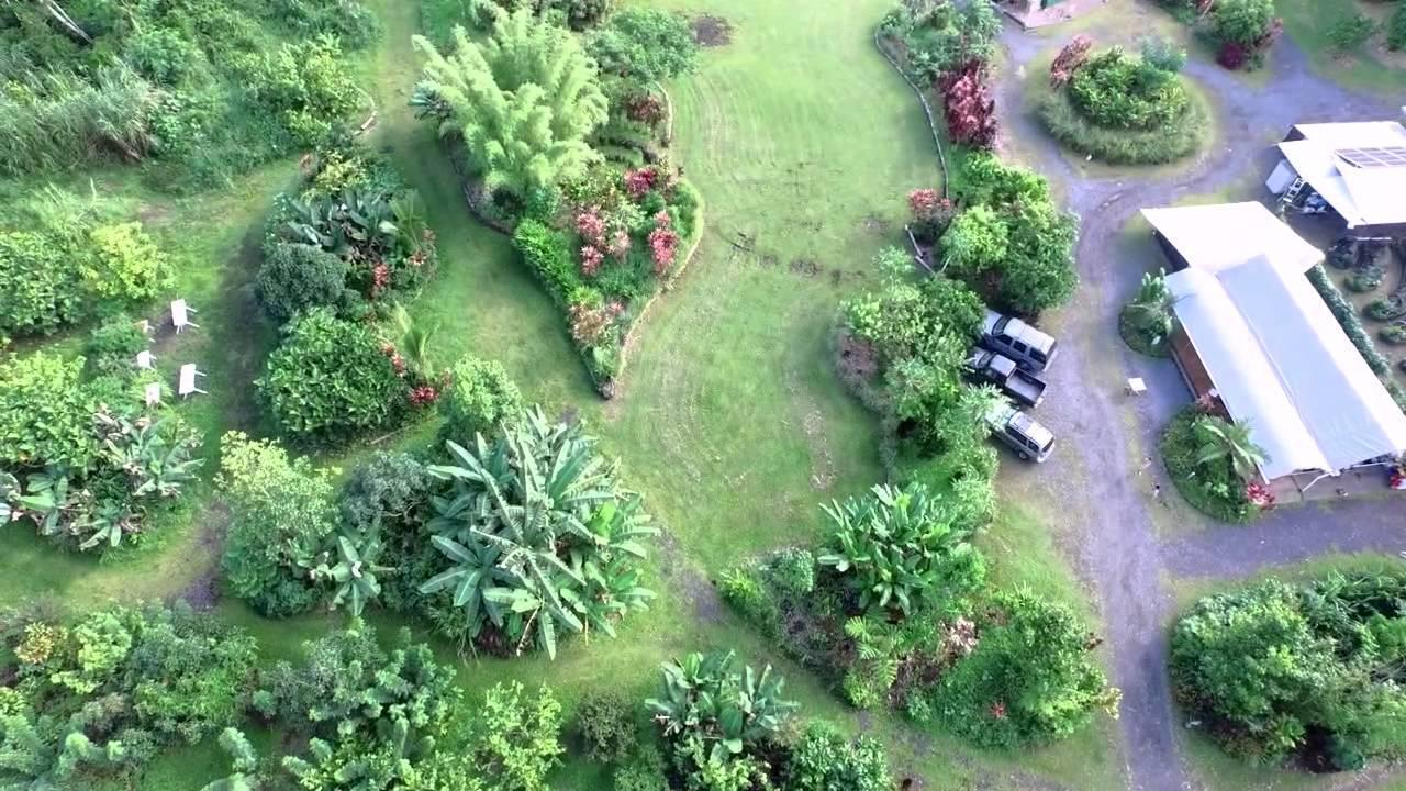 Hawaiian Sanctuary Eco Retreat Center Βίλα Pahoa Εξωτερικό φωτογραφία