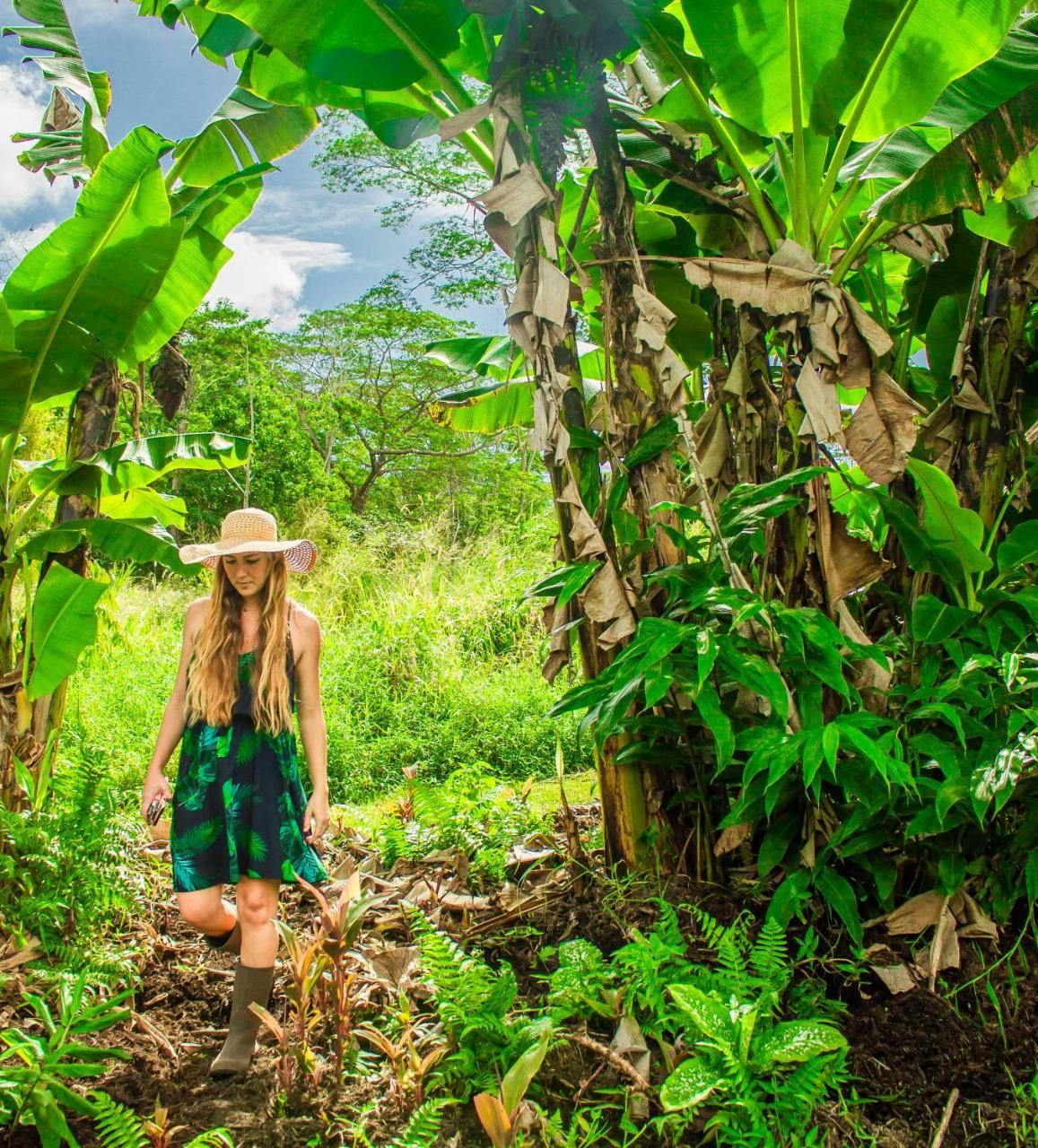 Hawaiian Sanctuary Eco Retreat Center Βίλα Pahoa Εξωτερικό φωτογραφία