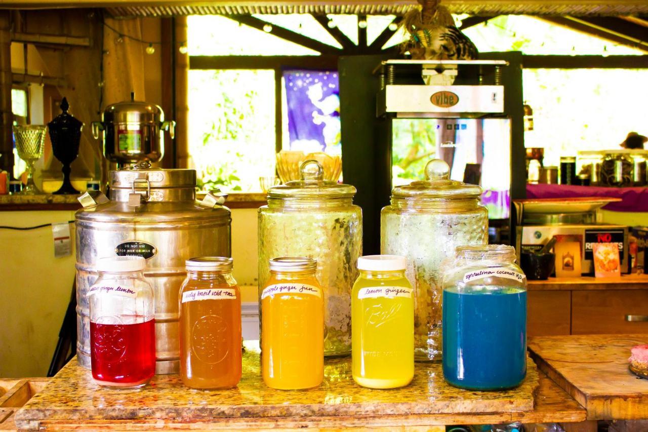 Hawaiian Sanctuary Eco Retreat Center Βίλα Pahoa Εξωτερικό φωτογραφία