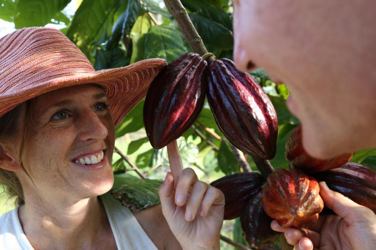 Hawaiian Sanctuary Eco Retreat Center Βίλα Pahoa Εξωτερικό φωτογραφία